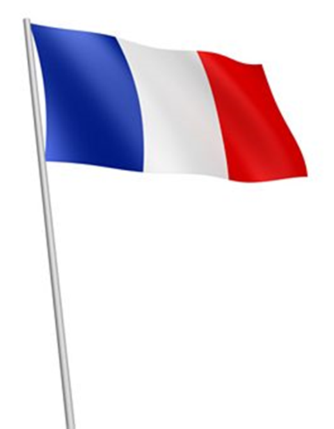 Test sa Republičkog takmičenja iz francuskog jezika za osnovne škole