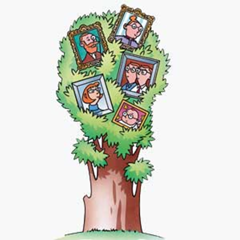Porodično stablo - leksičke vežbe